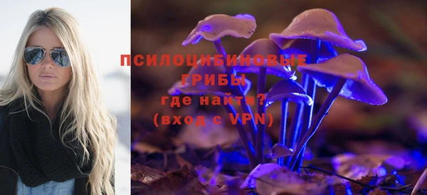 мдпв Бородино