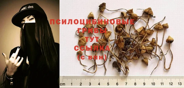 мескалин Белая Холуница