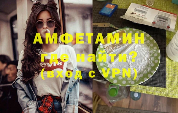 мдпв Бородино