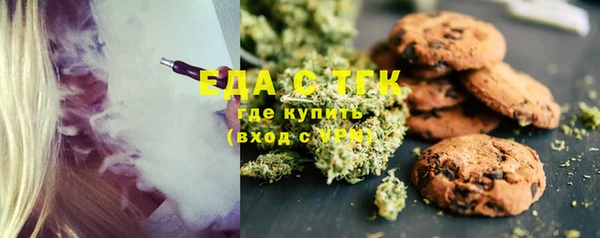 мдпв Бородино